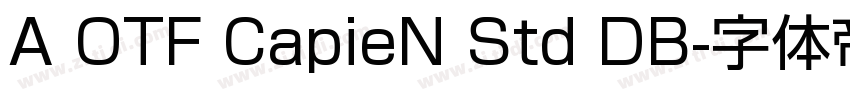 A OTF CapieN Std DB字体转换